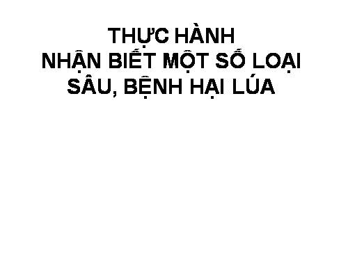 Bài 16. Thực hành: Nhận biết một số loại sâu, bệnh hại lúa