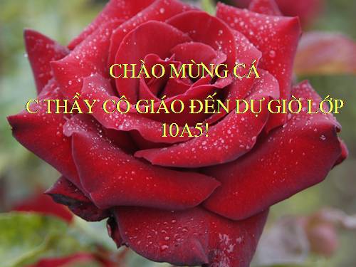 Bài 34. Tạo môi trường sống cho vật nuôi và thủy sản