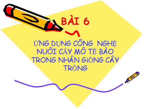 Bài 6. Ứng dụng công nghệ nuôi cấy mô tế bào trong nhân giống cây trồng nông, lâm nghiệp