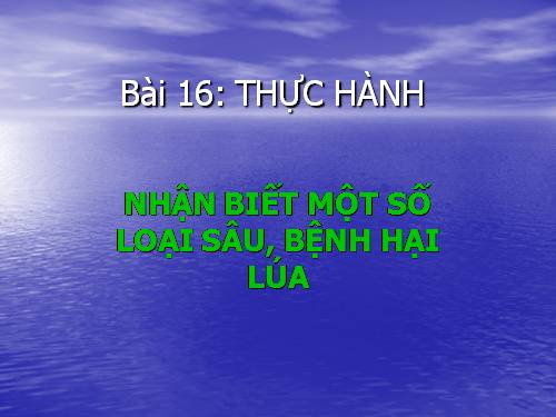 Bài 16. Thực hành: Nhận biết một số loại sâu, bệnh hại lúa