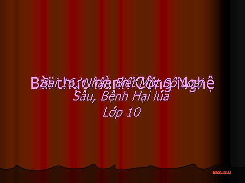 Bài 16. Thực hành: Nhận biết một số loại sâu, bệnh hại lúa