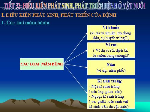 Bài 35. Điều kiện phát sinh, phát triển bệnh ở vật nuôi