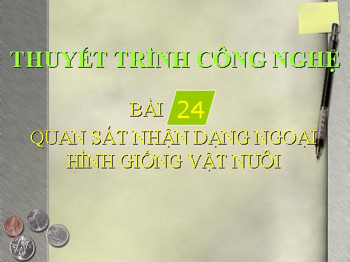 Bài 24. Thực hành: Quan sát, nhận dạng ngoại hình giống vật nuôi