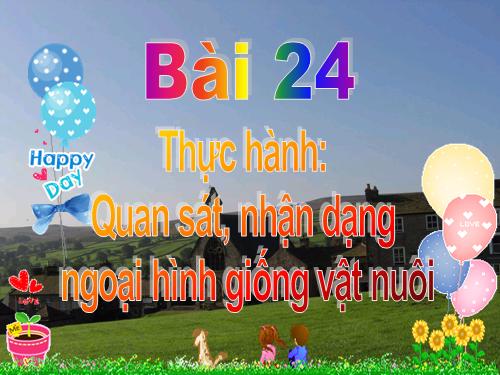 Bài 24. Thực hành: Quan sát, nhận dạng ngoại hình giống vật nuôi