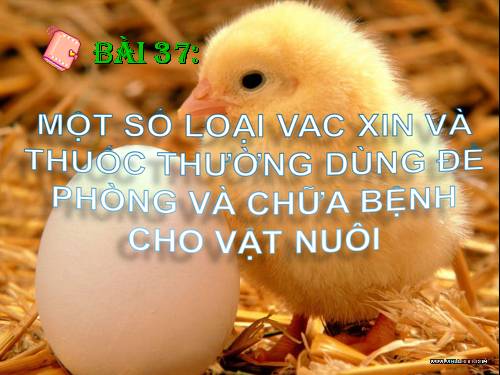 Bài 37. Một số loại vắc xin và thuốc thường dùng đề phòng và chữa bệnh cho vật nuôi