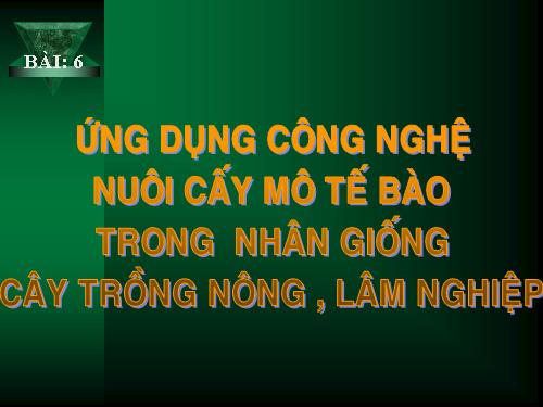 Bài 6. Ứng dụng công nghệ nuôi cấy mô tế bào trong nhân giống cây trồng nông, lâm nghiệp