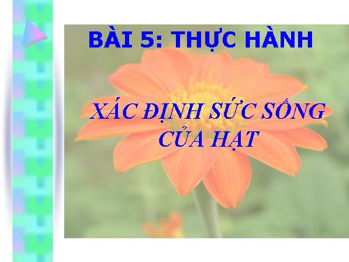 Bài 5. Thực hành: Xác định sức sống của hạt