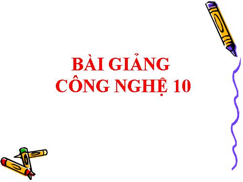 Bài 13. Ứng dụng công nghệ vi sinh trong sản xuất phân bón