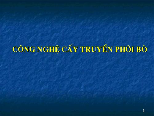 Công nghệ cấy truyền phôi bò