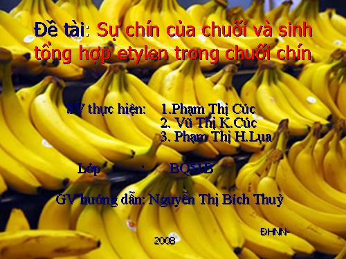 Bài 11.Sự chín của chuối và sinh tổng hợp etylen trong chuối