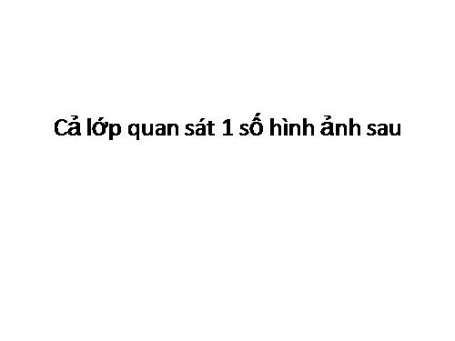 Bài 8. Thiết kế và bản vẽ kĩ thuật