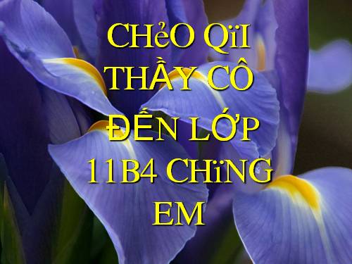 Bài 7. Hình chiếu phối cảnh