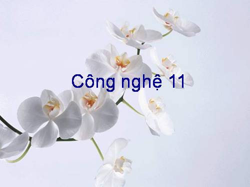 Bài 7. Hình chiếu phối cảnh