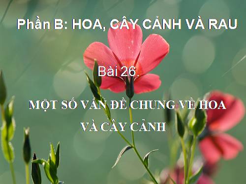 bai 26:một số vấn đề về hoa và cây cảnh