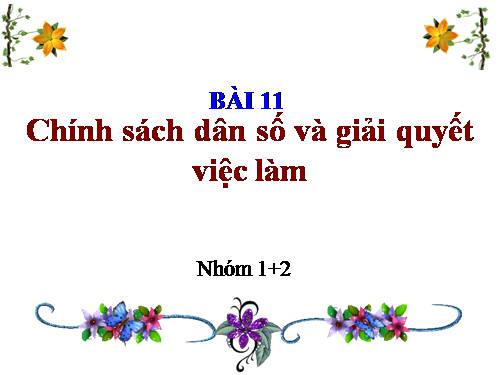 Bài 11. Chính sách dân số và giải quyết việc làm