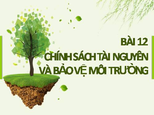 Bài 12. Chính sách tài nguyên và bảo vệ môi trường