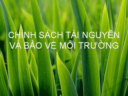 Bài 12. Chính sách tài nguyên và bảo vệ môi trường