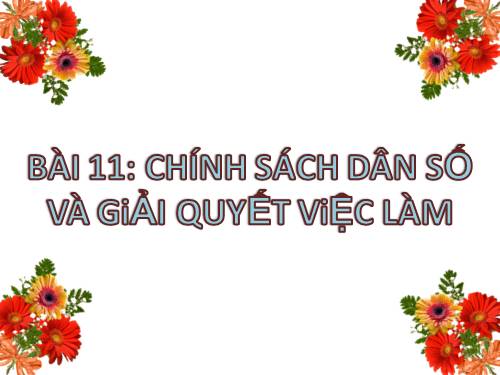 Bài 11. Chính sách dân số và giải quyết việc làm