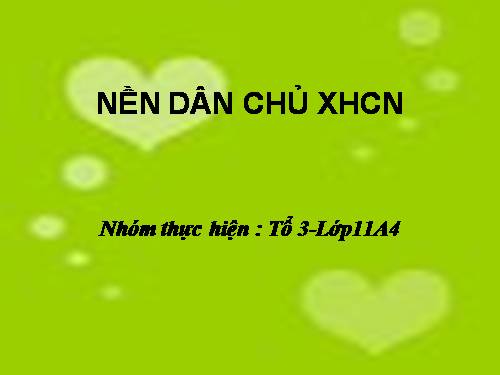 Bài 10. Nền dân chủ xã hội chủ nghĩa