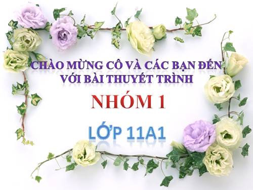 Bài 11. Chính sách dân số và giải quyết việc làm