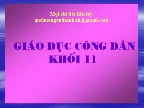 Bài 10. Nền dân chủ xã hội chủ nghĩa