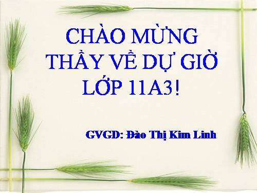 Bài 8. Chủ nghĩa xã hội