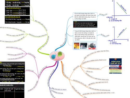Cung cầu Bản đồ tư duy