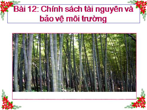 Bài 12. Chính sách tài nguyên và bảo vệ môi trường