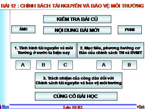 Bài 12. Chính sách tài nguyên và bảo vệ môi trường