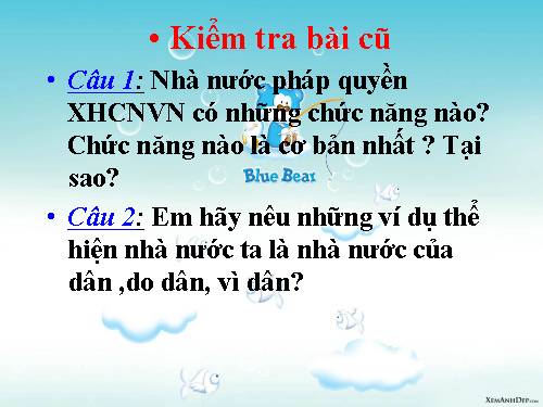 Bài 10. Nền dân chủ xã hội chủ nghĩa