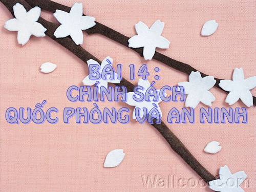 Bài 14. Chính sách quốc phòng và an ninh