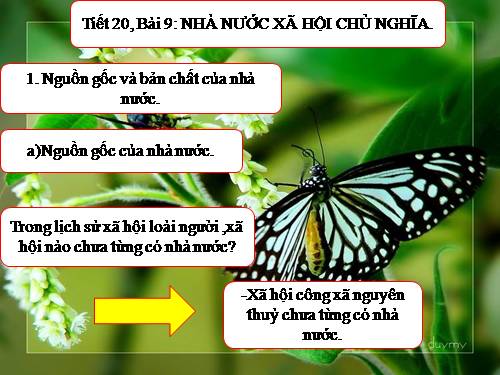 Bài 9. Nhà nước xã hội chủ nghĩa