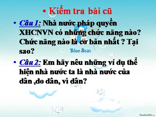 Bài 10. Nền dân chủ xã hội chủ nghĩa