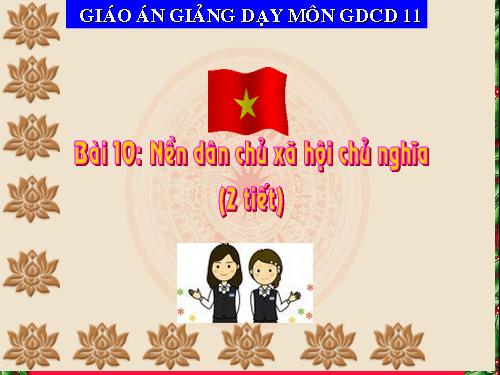 Bài 10. Nền dân chủ xã hội chủ nghĩa