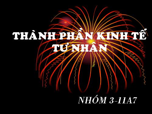 Kinh tế tư nhân