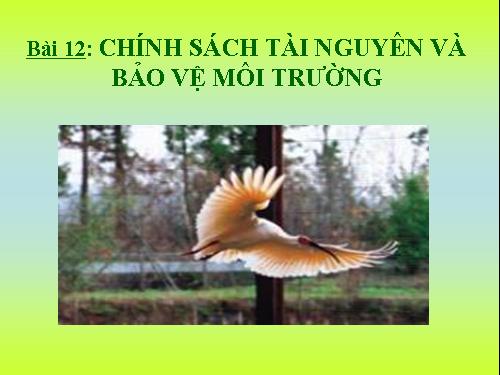 Bài 12. Chính sách tài nguyên và bảo vệ môi trường