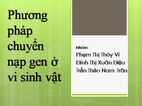 Bài 4. Đột biến gen