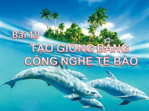 Bài 24. Tạo giống bằng công nghệ tế bào