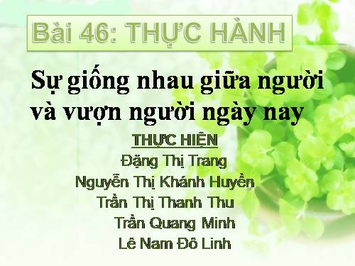 Bài 46. Thực hành: Bằng chứng về nguồn gốc động vật của loài người