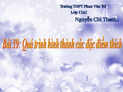 Bài 39. Quá trình hình thành các đặc điểm thích nghi