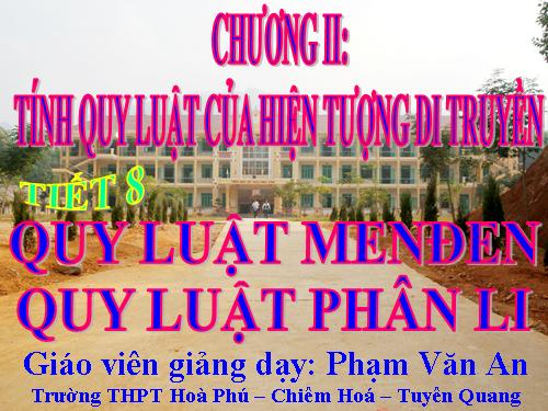 Bài 11. Quy luật phân li