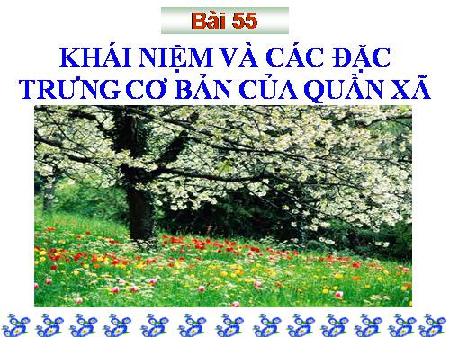 Bài 55. Khái niệm và các đặc trưng cơ bản của quần xã