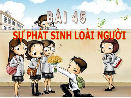 Bài 45. Sự phát sinh loài người