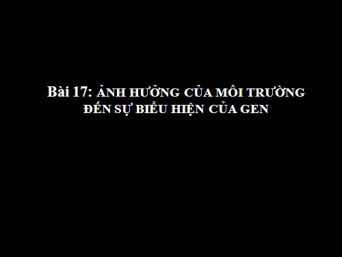 Bài 17. Ảnh hưởng của môi trường đến sự biểu hiện của gen