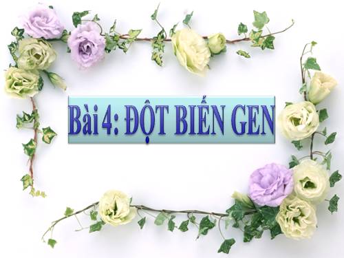 Bài 4. Đột biến gen