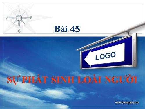 Bài 45. Sự phát sinh loài người