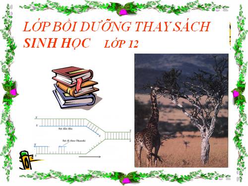 Bài 38. Các nhân tố tiến hóa (tiếp theo)