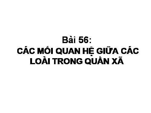 Bài 56. Các mối quan hệ giữa các loài trong quần xã