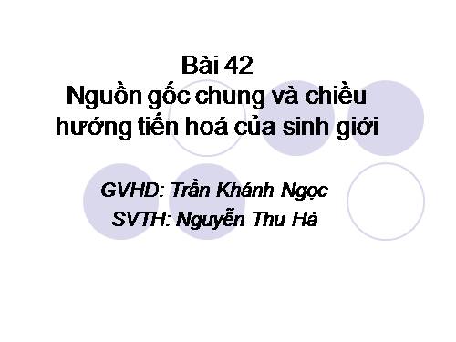 Bài 42. Nguồn gốc chung và chiều hướng tiến hóa của sinh giới