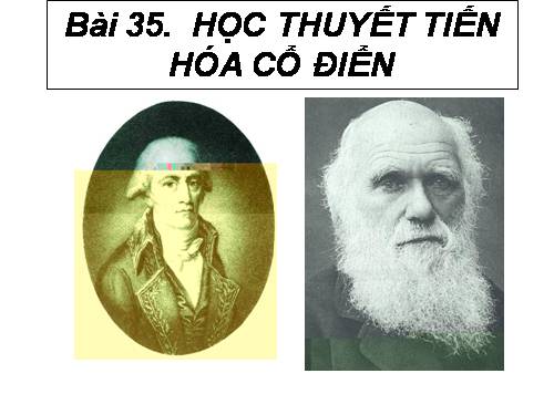 Bài 35. Học thuyết tiến hoá cổ điển